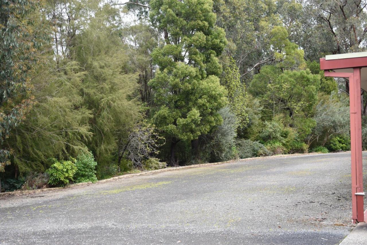 Sanctuary House Resort Motel Healesville Exterior photo
