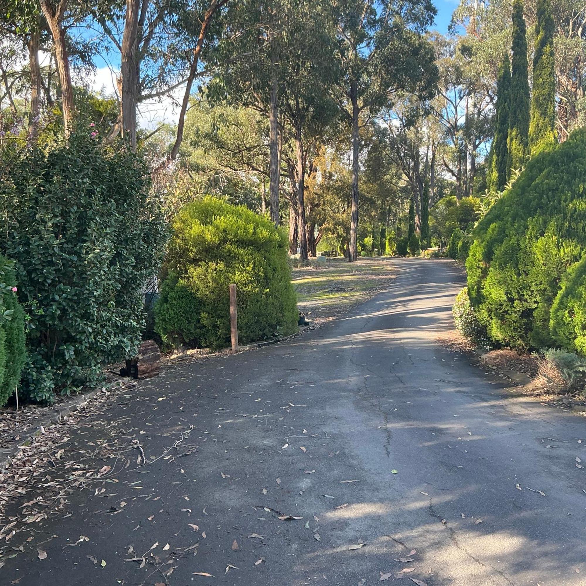 Sanctuary House Resort Motel Healesville Exterior photo