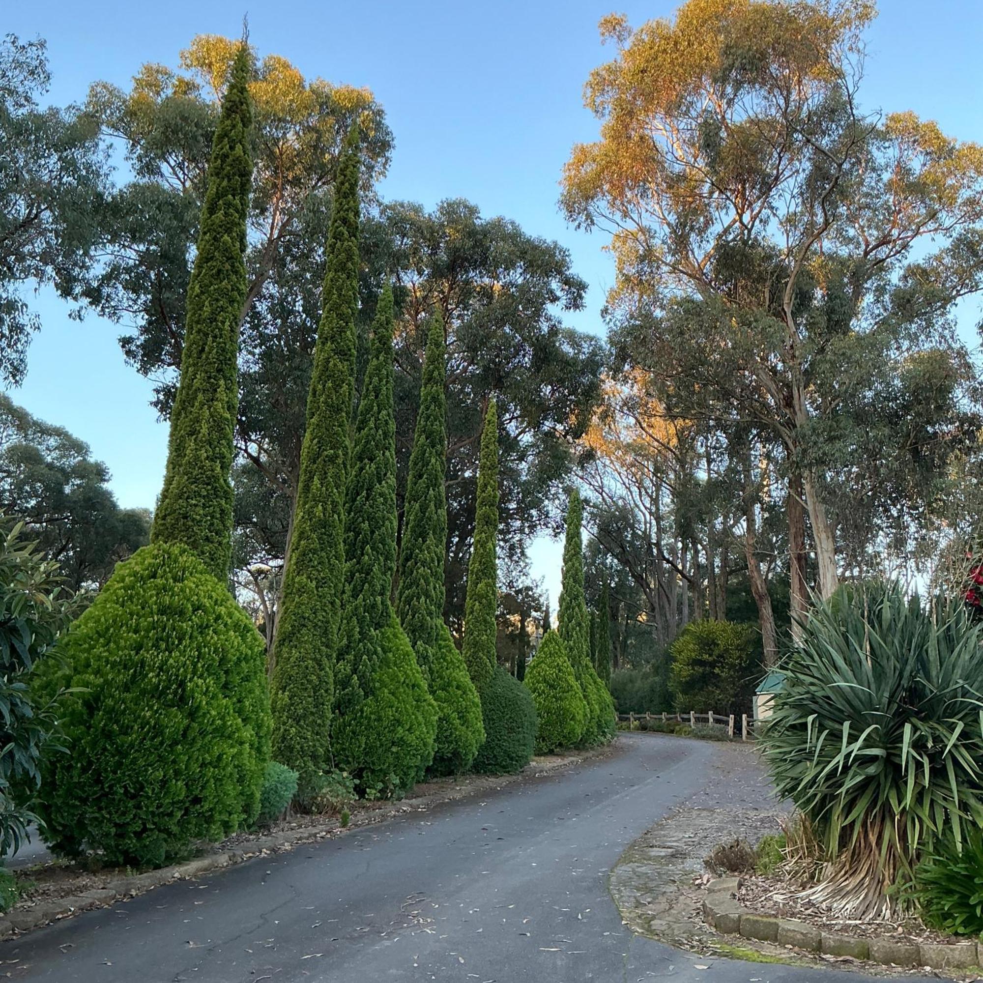 Sanctuary House Resort Motel Healesville Exterior photo